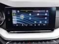 Skoda Octavia Style TDI DSG Grau - thumbnail 12