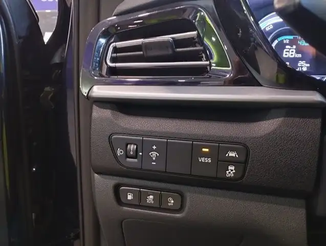 Kia Niro view 8
