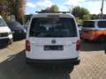 Volkswagen Caddy 2.0 TDI Maxi BMT 4Motion Weiß - thumbnail 6