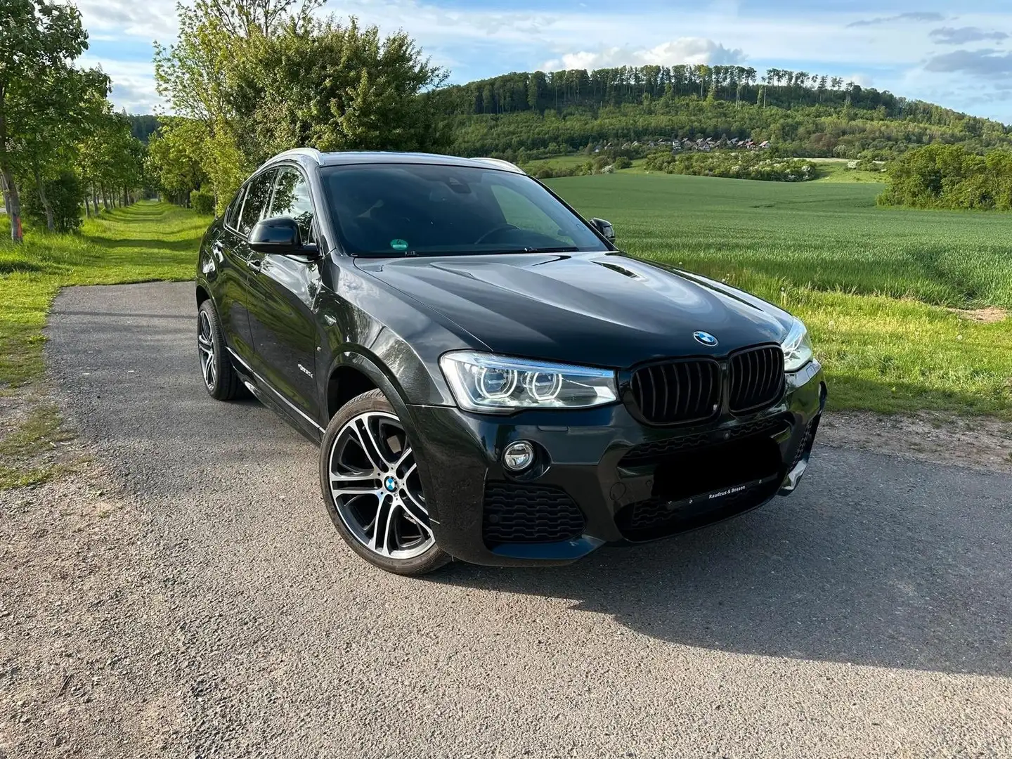 BMW X4 Baureihe X4 xDrive 30 d M Sport, Standheizung Schwarz - 1