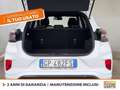 Ford Puma 1.0 ecoboost h st-line s&s 125cv Bianco - thumbnail 12