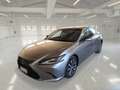 Lexus ES 300 2.5 300h Business Gri - thumbnail 2