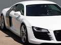 Audi R8 R8 4.2 FSI quattro Bianco - thumbnail 15