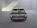 Skoda Octavia 4x4 RS TDI DSG Grau - thumbnail 4