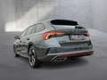 Skoda Octavia 4x4 RS TDI DSG Grau - thumbnail 21