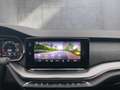 Skoda Octavia 4x4 RS TDI DSG Grau - thumbnail 17