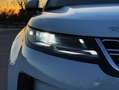 Land Rover Range Rover 2.0D 150 MHEV 4WD con CÁMARA TRASERA, NAVEGADOR.. Weiß - thumbnail 11