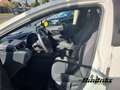 Suzuki Swace 1.8 Hybrid Comfort+ EU6d Navi Digitales Cockpit LE Blanc - thumbnail 9