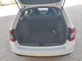 Skoda Octavia Combi 2.0TDI RS DSG Blanco - thumbnail 14