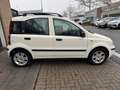 Fiat Panda 1.2 Emotion AIRCO PANORAMA LMV NAP APK 8-2026 Wit - thumbnail 15