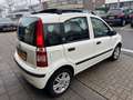 Fiat Panda 1.2 Emotion AIRCO PANORAMA LMV NAP APK 8-2026 Wit - thumbnail 23
