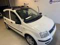 Fiat Panda 1.2 Emotion AIRCO PANORAMA LMV NAP APK 8-2026 Wit - thumbnail 14