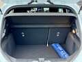 Ford Fiesta ST-Line LED PDC Kamera Styling-Paket Tempomat Blanc - thumbnail 10