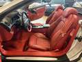 Mercedes-Benz SL 55 AMG V8 500CV  PELLE LUXURY ROSSA ! SPETTACOLARE ! Argento - thumbnail 15