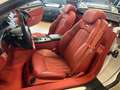 Mercedes-Benz SL 55 AMG V8 500CV  PELLE LUXURY ROSSA ! SPETTACOLARE ! Argento - thumbnail 16