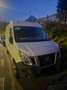 Nissan NV400 - thumbnail 1