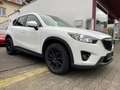 Mazda CX-5 CX-5 Diesel 2.2 SKYACTIV-D Center-Line Weiß - thumbnail 3