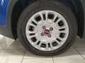 Fiat Panda 1.0 firefly hybrid s&s 70cv Blu/Azzurro - thumbnail 13