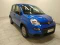 Fiat Panda 1.0 firefly hybrid s&s 70cv Blu/Azzurro - thumbnail 3