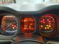 Fiat Panda 1.0 firefly hybrid s&s 70cv Blu/Azzurro - thumbnail 12