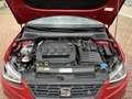 SEAT Ibiza 1.6 tdi FR 95cv - thumbnail 10