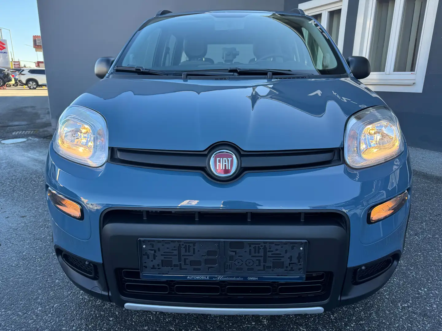 Fiat Panda Wild 4x4 Vert - 1
