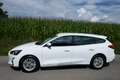 Ford Focus Titanium Weiß - thumbnail 2