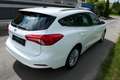 Ford Focus Titanium Weiß - thumbnail 5