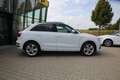 Audi Q3 QUATTRO*S-LINE*RFK*AHK*LED*NAVI*KEYLESSGO Weiß - thumbnail 6