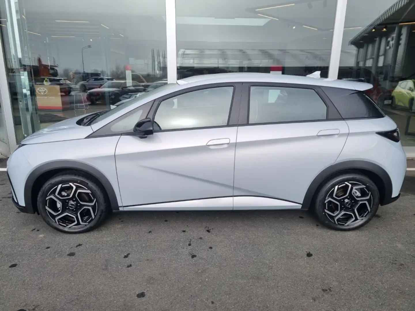 BYD Dolphin Comfort MY2025 Weiß - 2