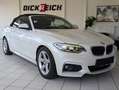 BMW 220 d M-Sport-Paket Leder Bi-Xen Navi HiFi Blanco - thumbnail 10
