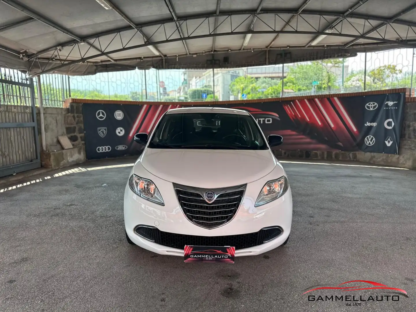 Lancia Ypsilon 1.3 MJT Silver 95CV Bianco - 1