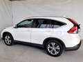 Honda CR-V 2.2 i-DTEC Executive AT Blanc - thumbnail 4