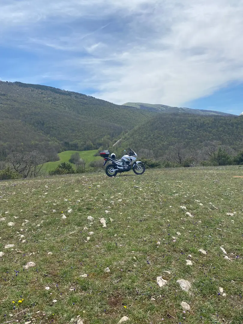 Honda Transalp 650 Stříbrná - 2