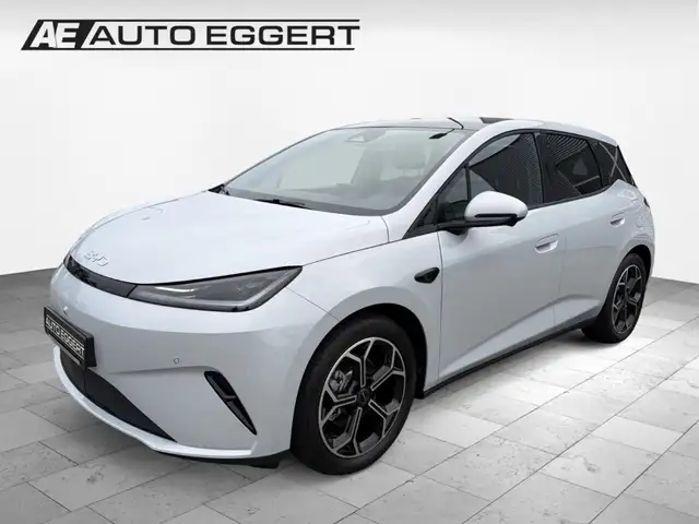 BYD Dolphin G