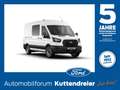 Ford Transit Kasten DoKa Trend 350 L3 SHZ*PDC*SYNC 4 Blanc - thumbnail 1