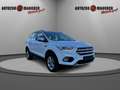 Ford Kuga Titanium 1.5 EcoBoost SHZ/NAV/PDC/APP/AHK Weiß - thumbnail 17