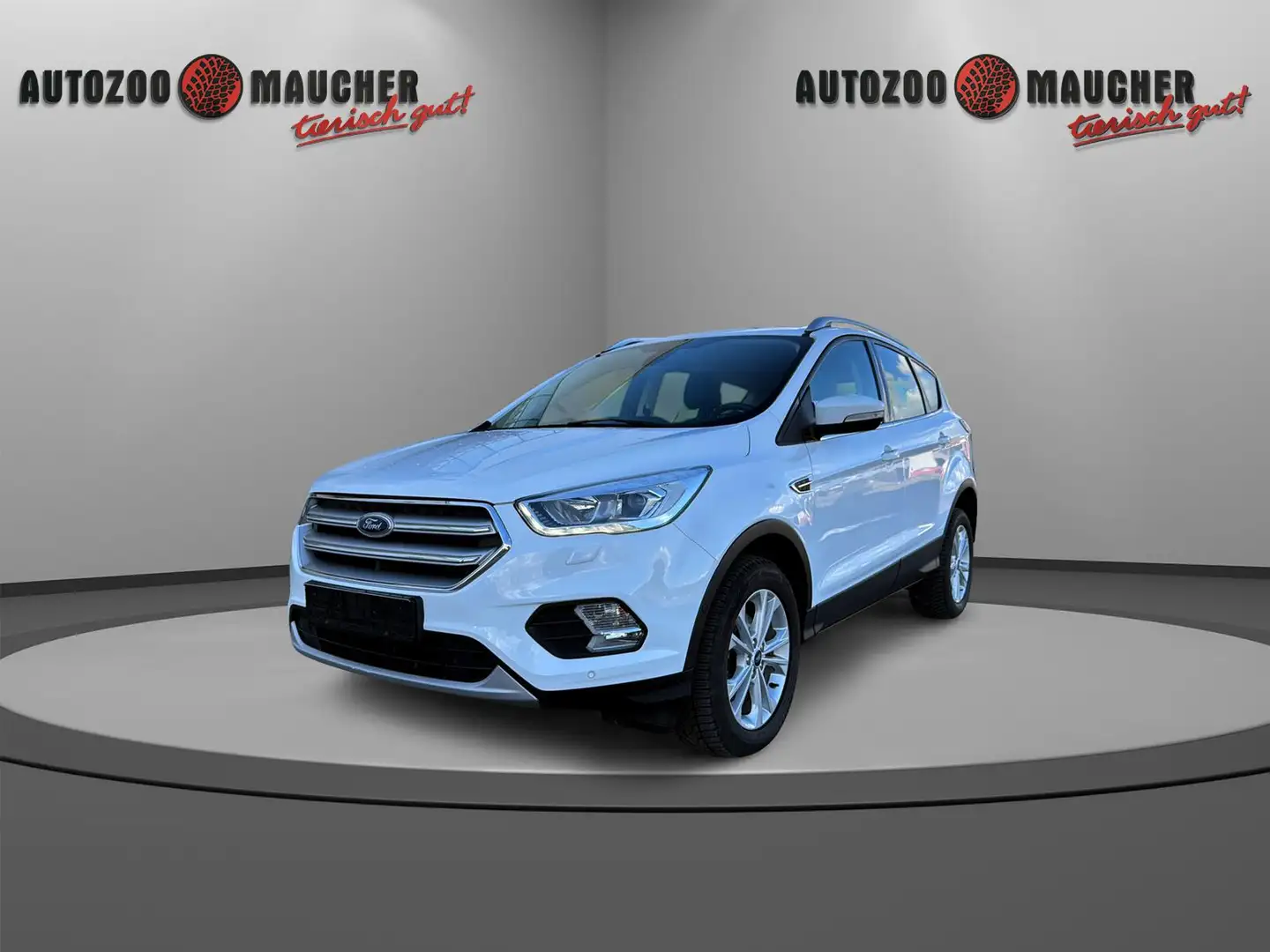 Ford Kuga Titanium 1.5 EcoBoost SHZ/NAV/PDC/APP/AHK Weiß - 2