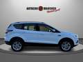 Ford Kuga Titanium 1.5 EcoBoost SHZ/NAV/PDC/APP/AHK Weiß - thumbnail 16