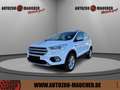 Ford Kuga Titanium 1.5 EcoBoost SHZ/NAV/PDC/APP/AHK Weiß - thumbnail 1