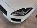 Jaguar E-Pace 2.0D I4 163 CV AWD Auto R-DYNAMIC BLACK *UNIPROP* Weiß - thumbnail 49