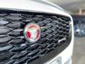 Jaguar E-Pace 2.0D I4 163 CV AWD Auto R-DYNAMIC BLACK *UNIPROP* Weiß - thumbnail 35