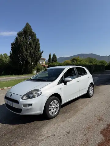 Fiat Punto Evo
