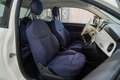 Fiat 500 1.0 Hybrid Cult 52kW Wit - thumbnail 15