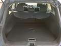 Renault Kadjar 1.5 116cv blue dci Business 115cv edc Automatica Gris - thumbnail 17