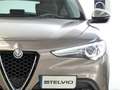 Alfa Romeo Stelvio 2.2 D TURBO SUPER AUTO RWD 180 5P Бежевий - thumbnail 11