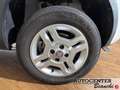 Fiat Panda Panda 1.3 mjt 16v Climbing 4x4 Wit - thumbnail 5