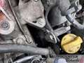 Fiat Panda Panda 1.3 mjt 16v Climbing 4x4 Wit - thumbnail 23