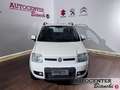 Fiat Panda Panda 1.3 mjt 16v Climbing 4x4 Wit - thumbnail 2