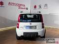 Fiat Panda Panda 1.3 mjt 16v Climbing 4x4 Wit - thumbnail 4